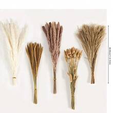 123pcs Dried Pampas Grass Decor Dried Flowers Arrangements White & Natural Pampas Grass, Reed, Bunny Tails,Reed Grass Bouquet For Wedding Boho Flowers Home Table Decor, Rustic Farmhouse Party - 1 - View 5