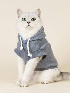 مستلزمات الحيوانات الأليفة