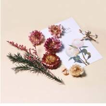 Diy Hot-Melt Glue Filling Material, Floating & Dried & Everlasting Flowers, Miniature Pressed Flower Material Set In Tropical Orange, 1 Box - Multicolor - View 5