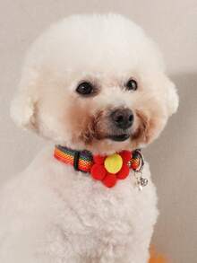 彩虹编织花卉宠物项圈，适合小型犬全年佩戴 - 彩色 - 查看 3