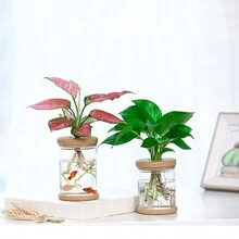 1pc Plant Pot Plastic Bottle For Desktop Office Transparent Plastic Vase For Watering Plants - Grey - View 3