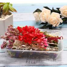 Diy Hot-Melt Glue Filling Material, Floating & Dried & Everlasting Flowers, Miniature Pressed Flower Material Set In Tropical Orange, 1 Box - Multicolor - View 10