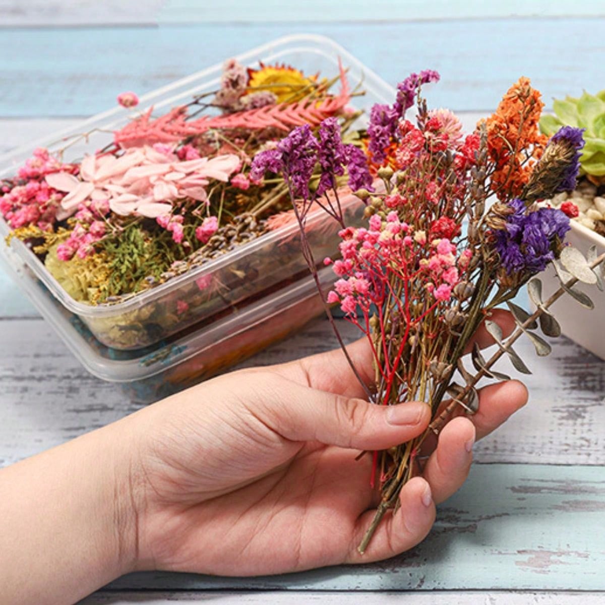 Diy Resin Filling Flowers,Float Flowers,Dry Flowers,Preserved Flowers