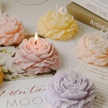 1 Miếng 2024 Phong cách mới Dầu thơm Nến DIY Quà lưu niệm Hoa mẫu đơn Hoa Món Quà Cho Giáng Sinh , Sinh nhật , Ngày lễ tình nhân , Hoặc Lãng mạn Nhà  Đồ trang trí - Nhiều màu - Xem 1