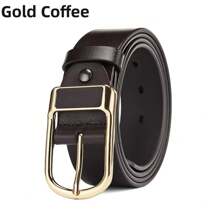 1條男裝商務/派對咖啡色tpu針扣腰帶 - 咖啡棕 - 查看 6