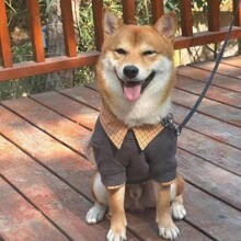 寵物衣服,冬季,2合1帽衫設計 - 灰色 - 查看 3