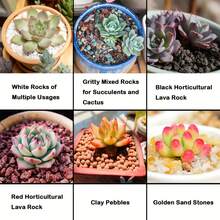 1 件 2.2 磅/0.22 磅/天然小彩色石頭,水族箱裝飾石,混合園藝熔岩卵石浮石盆栽土壤改良多肉仙人掌盆景砂岩裝飾礫石植物排水火山岩用於玻璃容器仙女園藝 - 淺藍色 - 查看 3