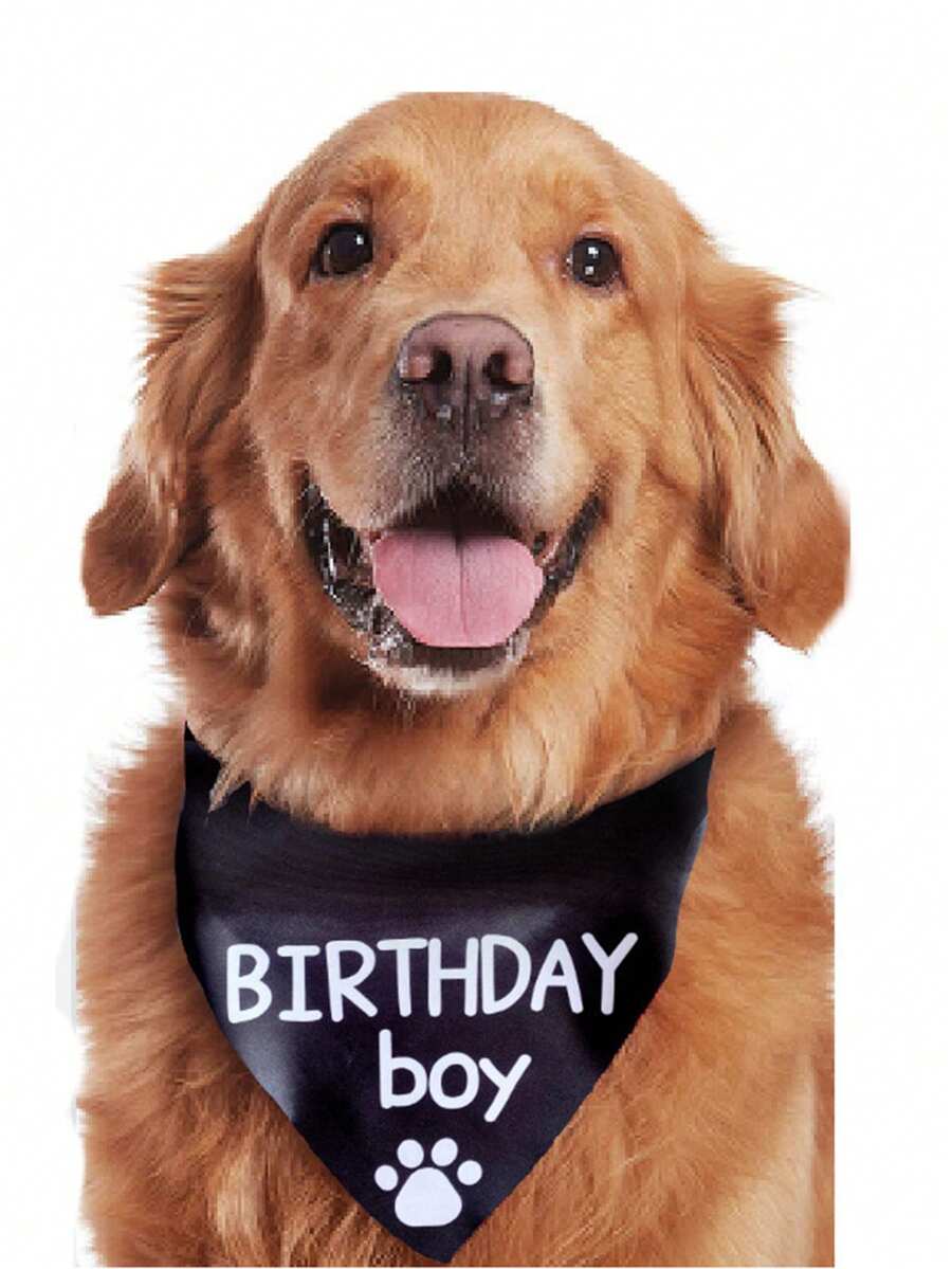 1入寵物生日領巾狗貓流口水圍巾,歐美時尚可愛寵物戶外三角巾 - 黑色 - 查看 1