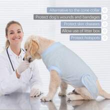 狗狗手術後恢復服,寵物手術腹部傷口保護器,寵物錐形e領繃帶替代絕育恢復背心斷奶襯衫,狗貓術後衣服 - 藍色 - 查看 5