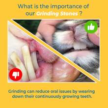 6入組小寵物磨牙石,修剪牙齒,打磨爪子,增加鈣質攝入,適合兔子、松鼠、倉鼠和天竺鼠等咬咬玩具 - 灰色 - 查看 6