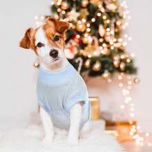 狗狗手術後恢復服,寵物手術腹部傷口保護器,寵物錐形e領繃帶替代絕育恢復背心斷奶襯衫,狗貓術後衣服 - 藍色 - 查看 6