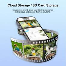 1入藍白色太陽能鳥食攝影機,低耗能,智能鳥食器,1080p高清攝像頭,自動捕捉鳥類視頻並發送語音通知,ai鳥類識別,wifi無線室外安全攝像頭 - 藍白色 - 查看 7