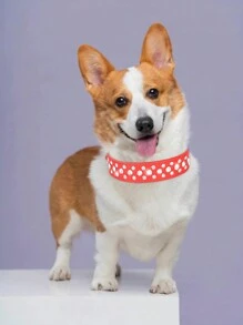 Cp037d Pu Leather Pet Collar For Small Dogs And Cats, Rhinestone Studded - Red - View 5