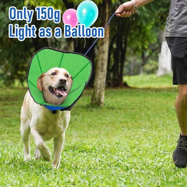 Dog Cone Collar For After Surgery, Soft Pet Recovery Collar For Medium