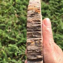 1塊自然石化木片,石化木癒合石、冥想石、天然水晶雕刻口袋裝飾、水晶禮物、水晶塑像、癒合石、冥想石 - 1pc random - 查看 14