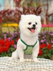 寵物小型/中型犬貓春夏背心服裝,適合泰迪/博美 - 綠色 - 查看 4