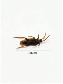 50 件愚人節惡作劇逼真蟑螂笑話玩具,花園裝飾 - 黑色 - 查看 5