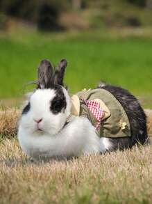 1套豚鼠背帶牽繩,適用於荷蘭豚、兔子、雪貂、刺蝟和其他異國小寵物 - 軍綠色 - 查看 7