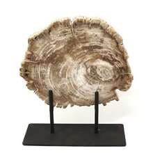 1塊自然石化木片,石化木癒合石、冥想石、天然水晶雕刻口袋裝飾、水晶禮物、水晶塑像、癒合石、冥想石 - 1pc random - 查看 8