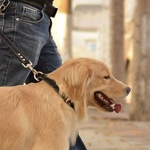 1只寵物項圈,狗項圈,寵物配件 - 棕色 - 查看 4