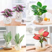 2000顆發光水彈水凝膠果凍球插花裝飾造型浮珠/蠟燭浮漂/假珍珠婚禮中心裝飾/種植裝飾 - 夜光 - 查看 8