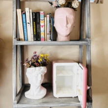 Mini Refrigerator/Fridge Frigobar 4 Liters Kitchen Car Office Cosmetic - Pink - View 2