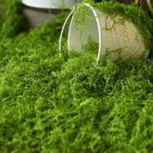 1包人造假苔蘚,1.05盎司diy模擬苔蘚草微景觀佈置（盆栽植物、藝術和工藝品、玻璃花盆、牆壁裝飾、中心擺設、花園小精靈、婚禮、花卉項目等) - 淺綠色 - 查看 4