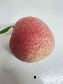 Artificial Plants - 套件1 - 查看 7