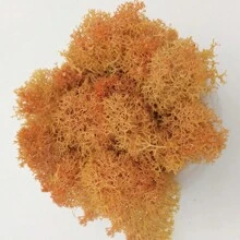 Lichen Moss Cluster For Bushes,Model Trees Foliage Scale Model Building Material Miniature Tree Model DIY Layout Dioramas Lichen Moss Cluster For Bushes Model Trees Foliage Scale Model Building Material Miniature - Orange Color - View 1