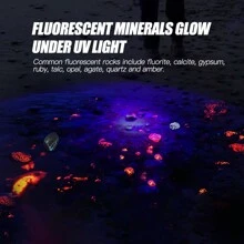 UV Đèn tia chớp 365nm UV Ánh sáng Đèn tia chớp Đối với Tảng đá Và Mẫu vật liệu sản xuất Phát sáng UV Keo dính Thú cưng Sa tanh Phát hiện Khách sạn Nhà Làm sạch - màu đen - Xem 3