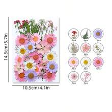 37pcs Pink Dried Natural Flowers, Suitable For Nail Art, Candle Making, Resin Craft, Resin Mold Filler Diy - Pink - View 3