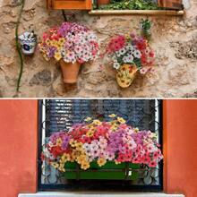 10 束红色户外人造花假塑料花仿真植物用于装饰悬挂花盆室内室外花园门廊窗台家居婚礼农舍装饰 - 紅色 - 查看 7