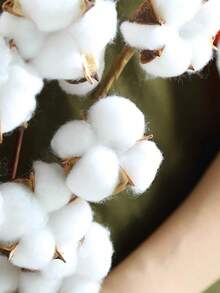 10 Pcs  Dried Cotton Head, Fake Cotton Flowers Dried Cotton Picks Stalks Plants, Artificial Cotton Floral Stems Faux Farmhouse Decorations For Vase Home Decorl, Restaurant, Living Room, Bedroom, Wedding, Banquet, Kitchen, Garden Ideal For School Dorm - White - View 4