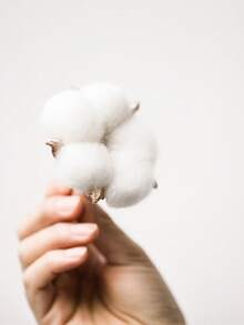 10 Pcs  Dried Cotton Head, Fake Cotton Flowers Dried Cotton Picks Stalks Plants, Artificial Cotton Floral Stems Faux Farmhouse Decorations For Vase Home Decorl, Restaurant, Living Room, Bedroom, Wedding, Banquet, Kitchen, Garden Ideal For School Dorm - White - View 5