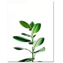 1pc Green Leaf Plant Wall Art Poster Canvas Print Picture For Living Room Home Decoration, Unframed - Multicolor - View 3