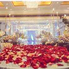 500 片,婚禮玫瑰花瓣人造花玫瑰假花瓣結婚派對裝飾訂婚、求婚情人節用品、創意小禮物、生日派對用品、派對裝飾用品、婚禮裝飾 - 黃色 - 查看 8