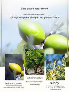 1pc Fragrant Hair Essential Oil For Hair Care, Non-Greasy Repairing & Nourishing, Quick Absorption, Suitable For Home & Travel Use - Multicolor - View 5