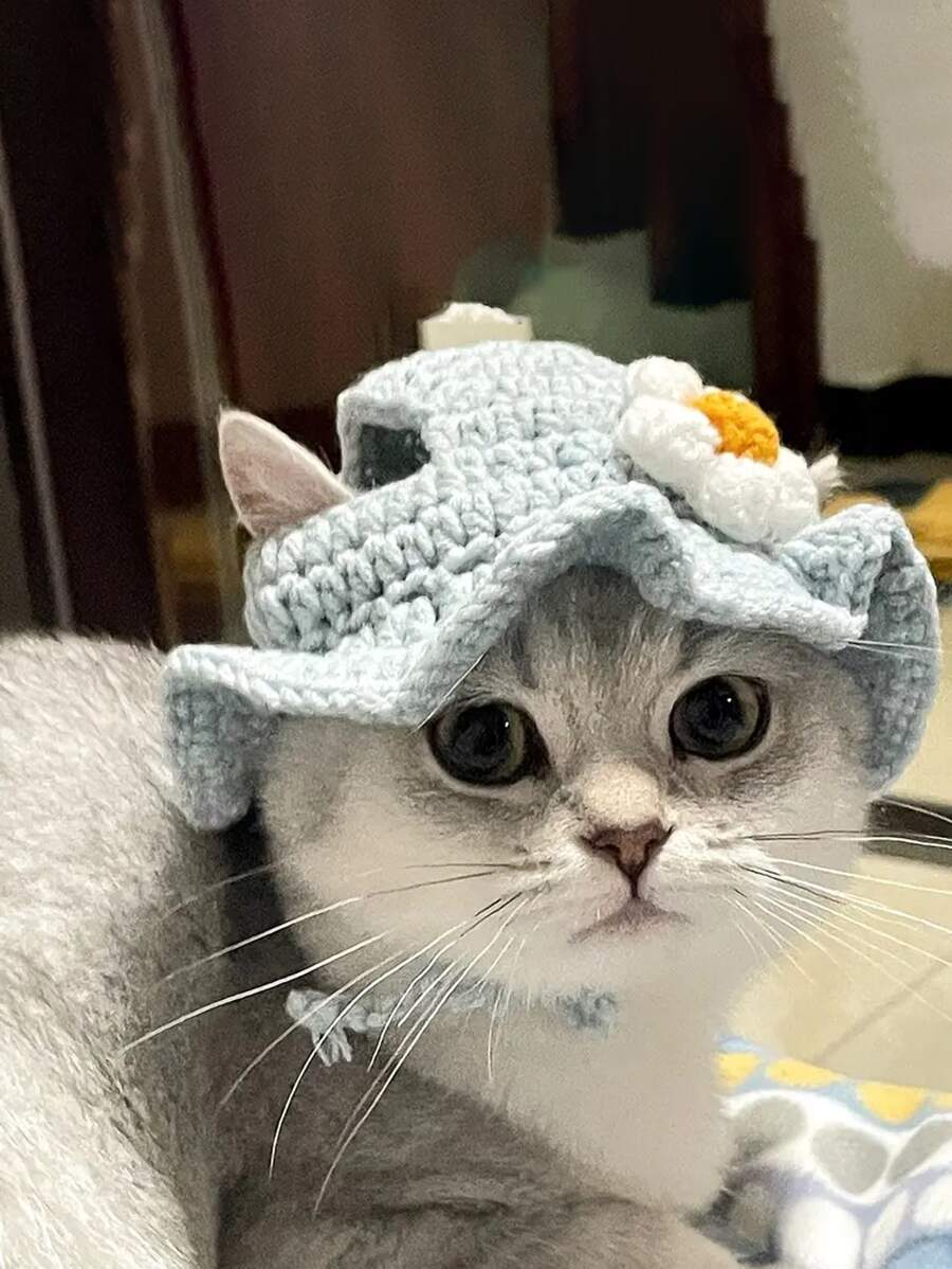 Sombrero de gato suave y lindo de otoño nuevo, disfraz de mascota con forma de flor azul de ganchillo, adorable gorra de gato - Azul - Ver 1