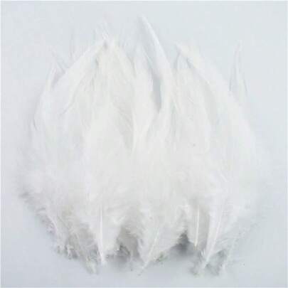50入組白色雉雞羽毛diy珠寶裝飾羽毛,適用於針織和手工藝品飾品、捕夢網飾品等