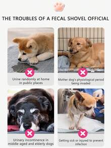 10/12入狗狗尿布,寵物尿墊,超強吸水中大型寵物生理褲,一次性男性和女性寵物生理褲,帶除臭功能 - 彩色 - 查看 4