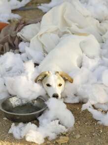 Relleno Delcron Siliconizado Suave Esponjoso X 3kg - Blanco - Ver 6