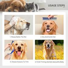 Thú cưng Chó Kéo an toàn Đầu tròn Cây kéo Bộ Sự phối hợp Đồ Chải lông Thú cưng Công cụ Kéo cho Thú cưng - Màu xanh lam - Xem 7