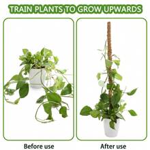 1入diy造型植物攀爬杆攀爬藤,椰子棕櫚杆可彎曲成形青苔棒jardin園藝支柱 - 米色 - 查看 7