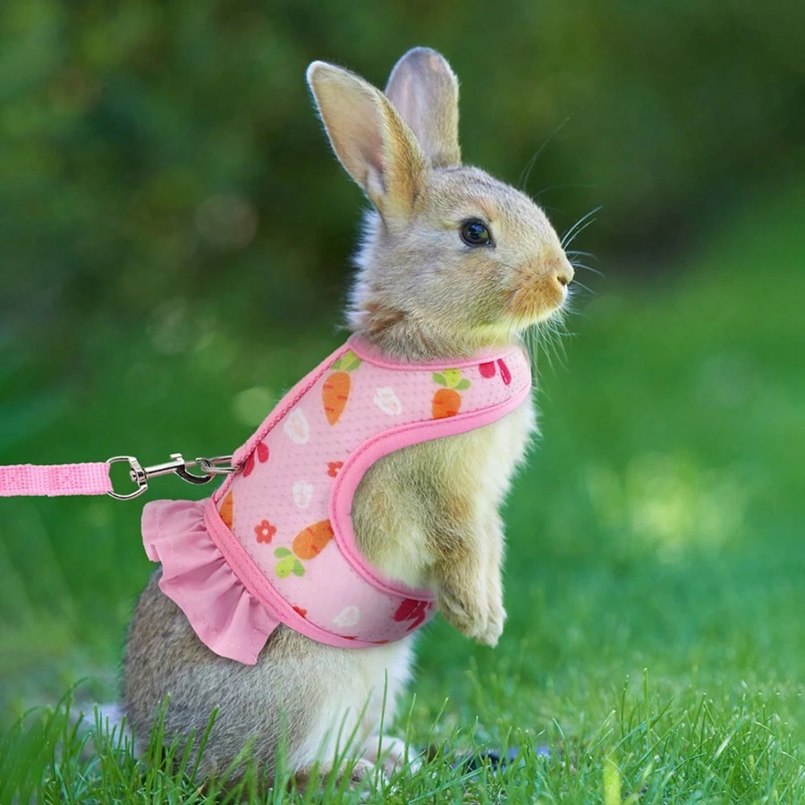 Pet Chest And Back Set, Rabbit Harness And Leash For Walking Escape Proof, Breathable Bunny Vest Harness - Pink - View 1