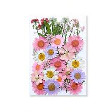 37pcs Pink Dried Natural Flowers, Suitable For Nail Art, Candle Making, Resin Craft, Resin Mold Filler Diy - Pink - View 2