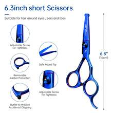 Thú cưng Chó Kéo an toàn Đầu tròn Cây kéo Bộ Sự phối hợp Đồ Chải lông Thú cưng Công cụ Kéo cho Thú cưng - Màu xanh lam - Xem 5