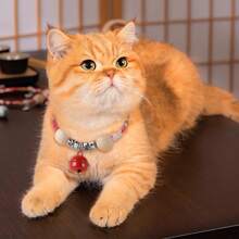 1只貓項圈,貓狗隨機款式的防蚤蟲項圈,帶鈴鐺 - 彩色 - 查看 5