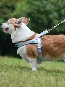 Hp255 Explosion-Proof Pet Chest And Back Strap For Medium And Large Dogs, Comfortable Pet Leash With Shock Absorption - Baby Blue - View 5