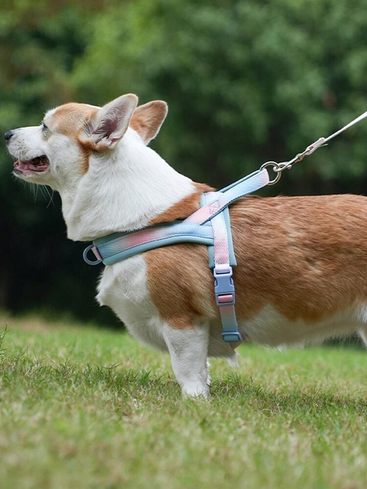 Hp255防爆中大型犬寵物胸背帶,帶有減震功能的舒適寵物牽繩 - 淺藍色 - 查看 5