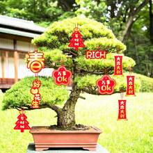 20入組新年掛飾,帶繩幸運字吊飾,用於春節家居辦公室汽車樹木裝飾 - 紅色 - 查看 4